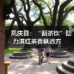 凤庆县：“新茶饮”助力滇红茶香飘远方（图2）