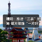 建阳:推进“三茶”统筹 做大做强“一片叶”(图3) 建阳:推进“三茶”统筹 做大做强“一片叶”(图3)