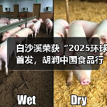 白沙溪荣获“2025环球首发，胡润中国食品行业百强榜全球地标优品”（图2）
