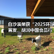 白沙溪荣获“2025环球首发，胡润中国食品行业百强榜全球地标优品”（图3）