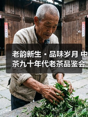 老韵新生 · 品味岁月 中茶九十年代老茶品鉴会圆满成功(图2) 老韵新生 · 品味岁月 中茶九十年代老茶品鉴会圆满成功(图2)