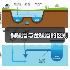 铜骏眉与金骏眉的区别(图3) 铜骏眉与金骏眉的区别(图3)