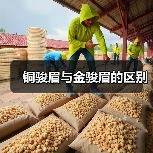 铜骏眉与金骏眉的区别(图2) 铜骏眉与金骏眉的区别(图2)