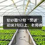 紫砂圈12句“黑话”,能说3句以上,老师傅直接把你当自己人(图4) 紫砂圈12句“黑话”,能说3句以上,老师傅直接把你当自己人(图4)