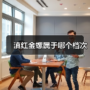 滇红金螺属于哪个档次(图4) 滇红金螺属于哪个档次(图4)