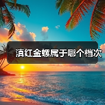 滇红金螺属于哪个档次(图3) 滇红金螺属于哪个档次(图3)