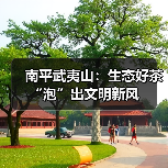 南平武夷山:生态好茶“泡”出文明新风(图1) 南平武夷山:生态好茶“泡”出文明新风(图1)