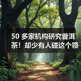 50 多家机构研究普洱茶！却少有人碰这个领域？（图3）