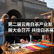 第二届云南白茶产业发展大会召开 共绘白茶高质量发展新蓝图（图4）