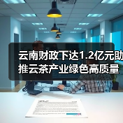 云南财政下达1.2亿元助推云茶产业绿色高质量发展(图4) 云南财政下达1.2亿元助推云茶产业绿色高质量发展(图4)