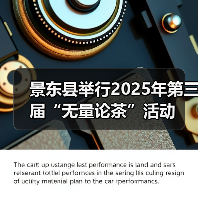 景东县举行2025年第三届“无量论茶”活动(图3) 景东县举行2025年第三届“无量论茶”活动(图3)