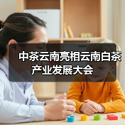 中茶云南亮相云南白茶产业发展大会(图3) 中茶云南亮相云南白茶产业发展大会(图3)