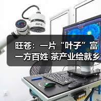 旺苍：一片“叶子”富一方百姓 茶产业绘就乡村振兴新图景（图2）