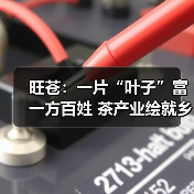 旺苍：一片“叶子”富一方百姓 茶产业绘就乡村振兴新图景（图4）