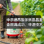 中茶德昂酸茶新品品鉴会圆满成功，非遗技艺焕发时代新韵（图2）