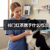 祁门红茶属于什么档次（图2）