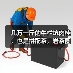 几万一斤的牛栏坑肉桂，也是拼配茶，岩茶圈已经没有纯料茶了吗？（图4）