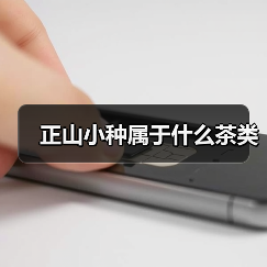 正山小种属于什么茶类（图1）