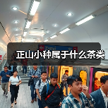 正山小种属于什么茶类（图2）