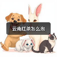 云南红茶怎么泡(图1) 云南红茶怎么泡(图1)