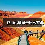 正山小种属于什么茶类（图4）