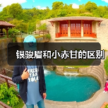 银骏眉和小赤甘的区别（图2）