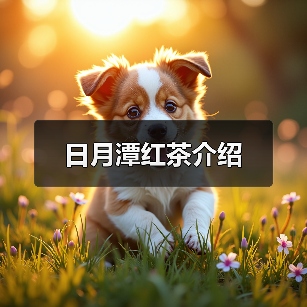 日月潭红茶介绍(图4) 日月潭红茶介绍(图4)