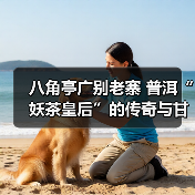 八角亭广别老寨 普洱“妖茶皇后”的传奇与甘甜（图2）