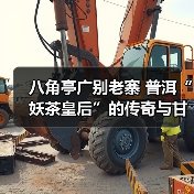 八角亭广别老寨 普洱“妖茶皇后”的传奇与甘甜（图1）