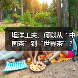 坦洋工夫，何以从“中国茶”到“世界茶”？（图1）