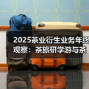 2025茶业衍生业务年终观察：茶旅研学游与茶周边的起色如何？（图1）