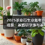 2025茶业衍生业务年终观察：茶旅研学游与茶周边的起色如何？（图2）