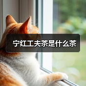 宁红工夫茶是什么茶(图3) 宁红工夫茶是什么茶(图3)