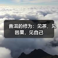 普洱的修为:见茶,见因果,见自己(图2) 普洱的修为:见茶,见因果,见自己(图2)