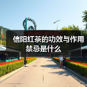 信阳红茶的功效与作用禁忌是什么(图4) 信阳红茶的功效与作用禁忌是什么(图4)