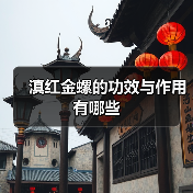 滇红金螺的功效与作用有哪些(图1) 滇红金螺的功效与作用有哪些(图1)