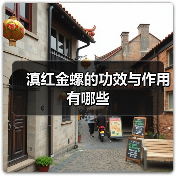 滇红金螺的功效与作用有哪些(图4) 滇红金螺的功效与作用有哪些(图4)