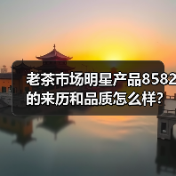 老茶市场明星产品8582的来历和品质怎么样？（图1）