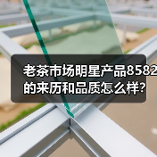 老茶市场明星产品8582的来历和品质怎么样？（图3）
