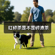 红碎茶是不是碎渣茶（图2）