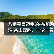 八角亭景迈生沱·布朗熟沱 茶山双韵，一沱一春秋（图3）