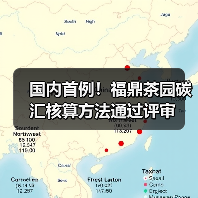 国内首例！福鼎茶园碳汇核算方法通过评审（图3）