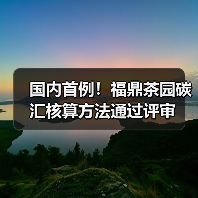 国内首例！福鼎茶园碳汇核算方法通过评审（图2）