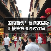 国内首例！福鼎茶园碳汇核算方法通过评审（图1）