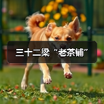 三十二梁“老茶铺”（图3）