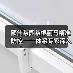 聚焦茶园茶棍蓟马精准防控——体系专家深入宜宾茶区调研指导（图3）