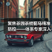 聚焦茶园茶棍蓟马精准防控——体系专家深入宜宾茶区调研指导（图1）