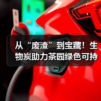 从“废渣”到宝藏!生物炭助力茶园绿色可持续发展(图2) 从“废渣”到宝藏!生物炭助力茶园绿色可持续发展(图2)