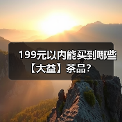 199元以内能买到哪些【大益】茶品？（图3）
