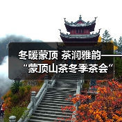 冬暖蒙顶 茶润雅韵——“蒙顶山茶冬季茶会”活动启幕 赴一场千年茶香之约（图1）